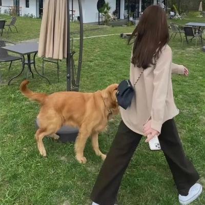 奴仆时代